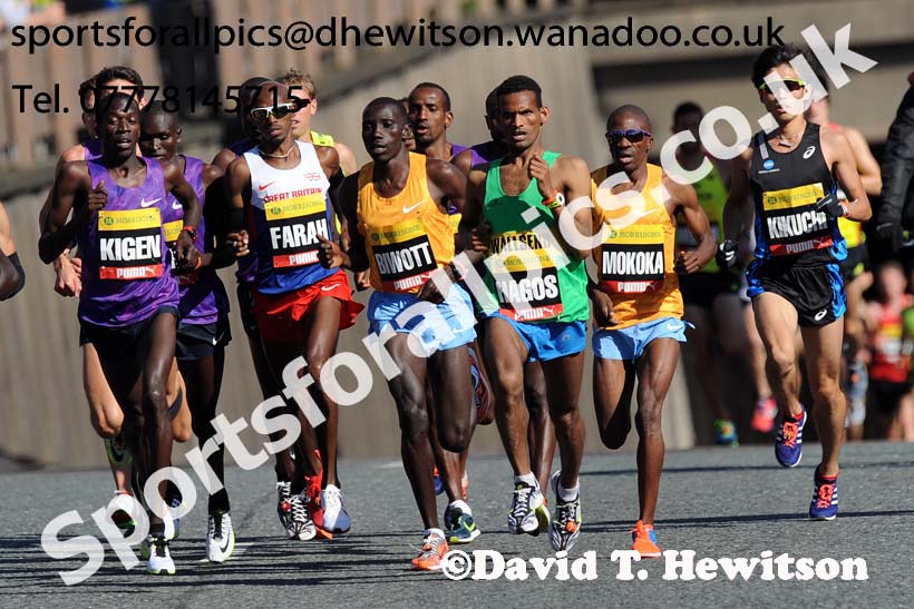 Mens Morrisons Great North Run. Photo: David T. Hewitson/Sports for All Pics